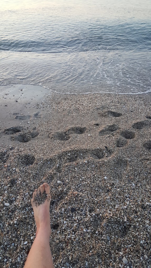 Denna bild har ett alt-attribut som är tomt. Dess filnamn är 20160924_081247.jpg