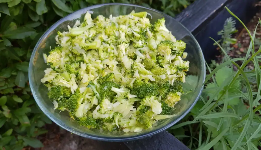 Godaste RÅA broccolin ever!!! – Rawvegan.se